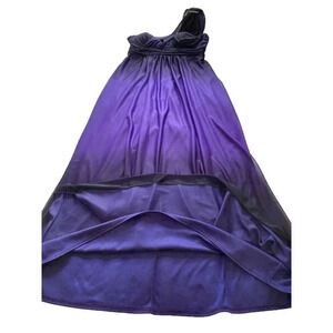 Jolie Whimsigoth Maxi Dress Sz  8 Empire Waist Sheer Black Purple One Shoulder